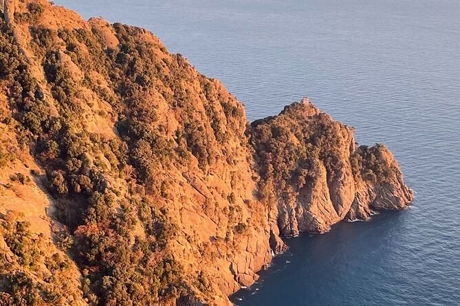 Rust-coloured sea cliffs lit by the low evening sun
