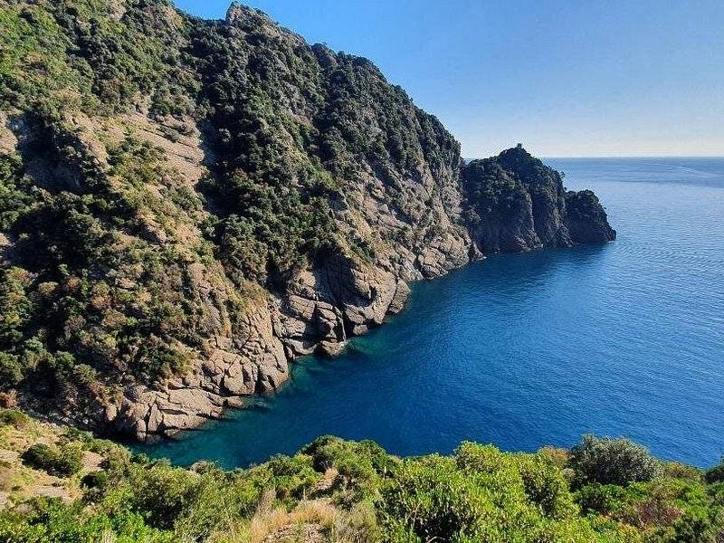 A green cliff falling steeply into deep blue sea