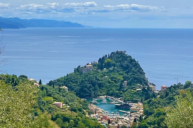 A wooded headland and a small harbour below it, the open sea beyond