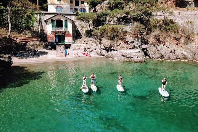 Paddleboards on clear green water in a small cove below a boathouse